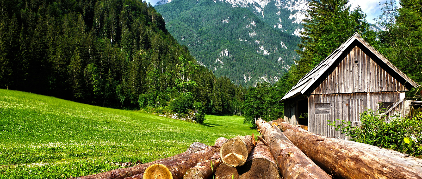 A rustic wooden cabin nestled at the edge of a lush green meadow, surrounded by dense forest and towering mountains in the background. In the foreground, neatly stacked logs hint at sustainable forestry practices, blending the charm of natural landscapes with responsible wood sourcing.