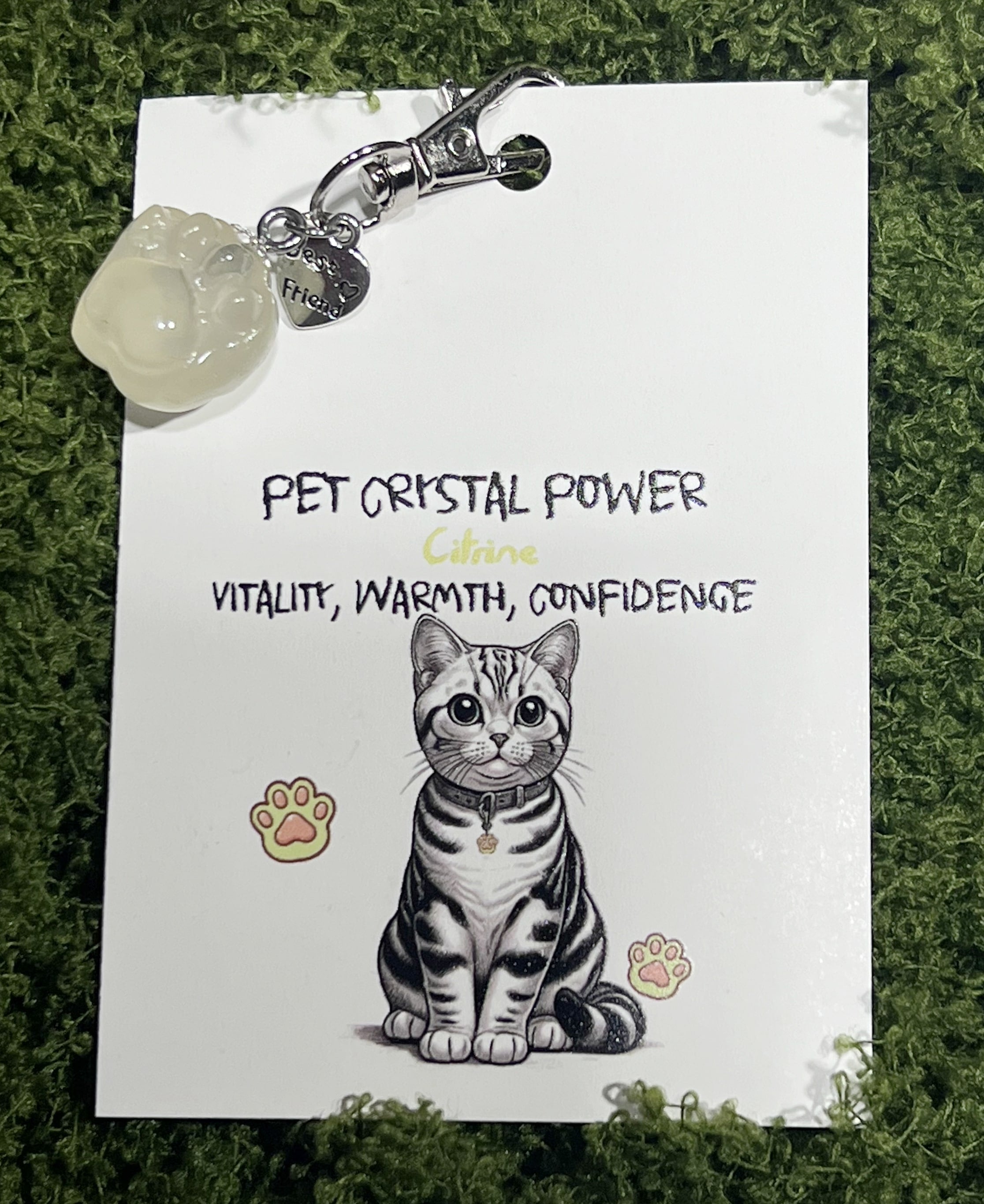 Pet Crystal Pendant Paw