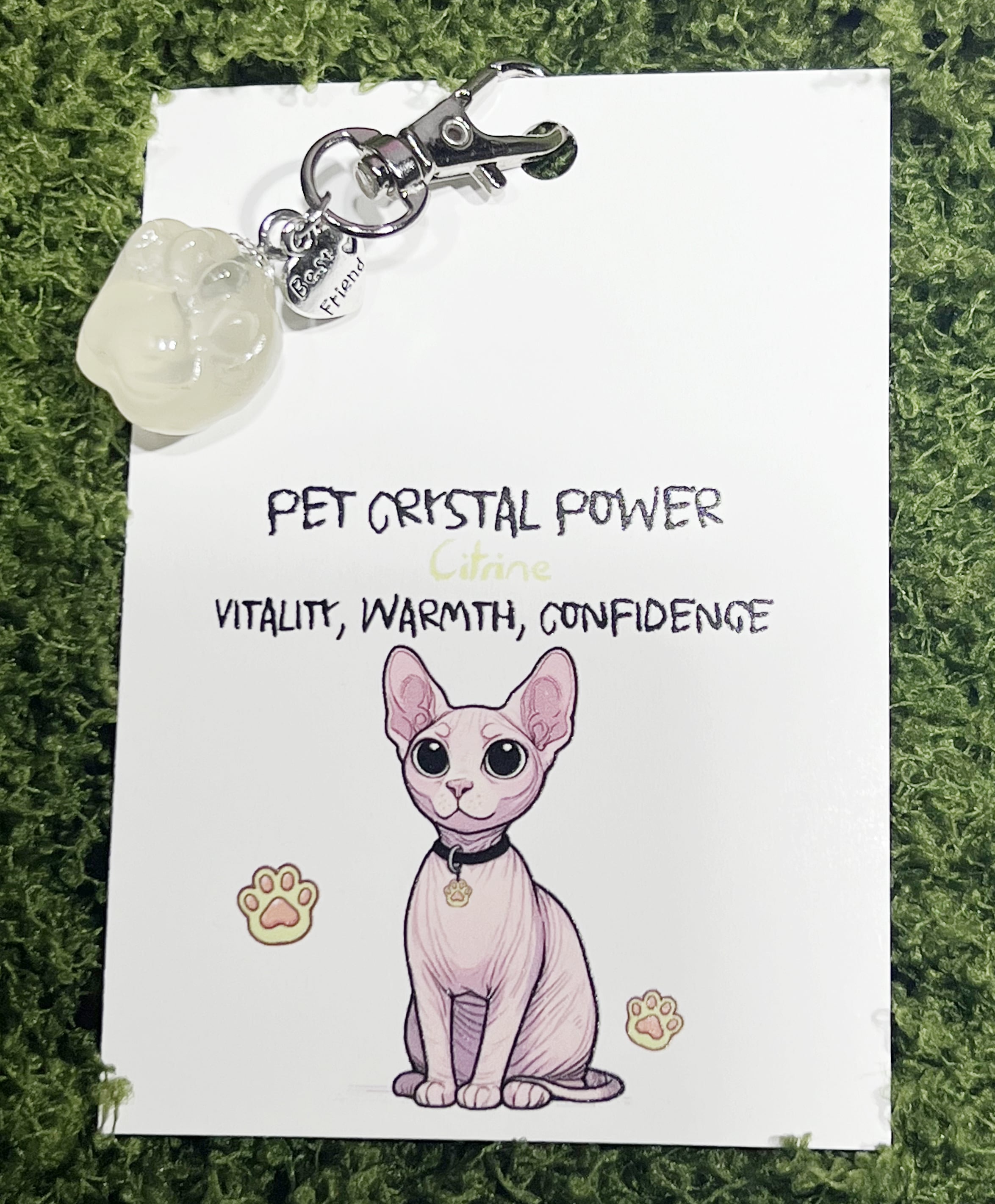 Pet Crystal Pendant Paw